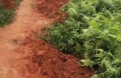 Half Plot of Land at Ipaye Tarred Road