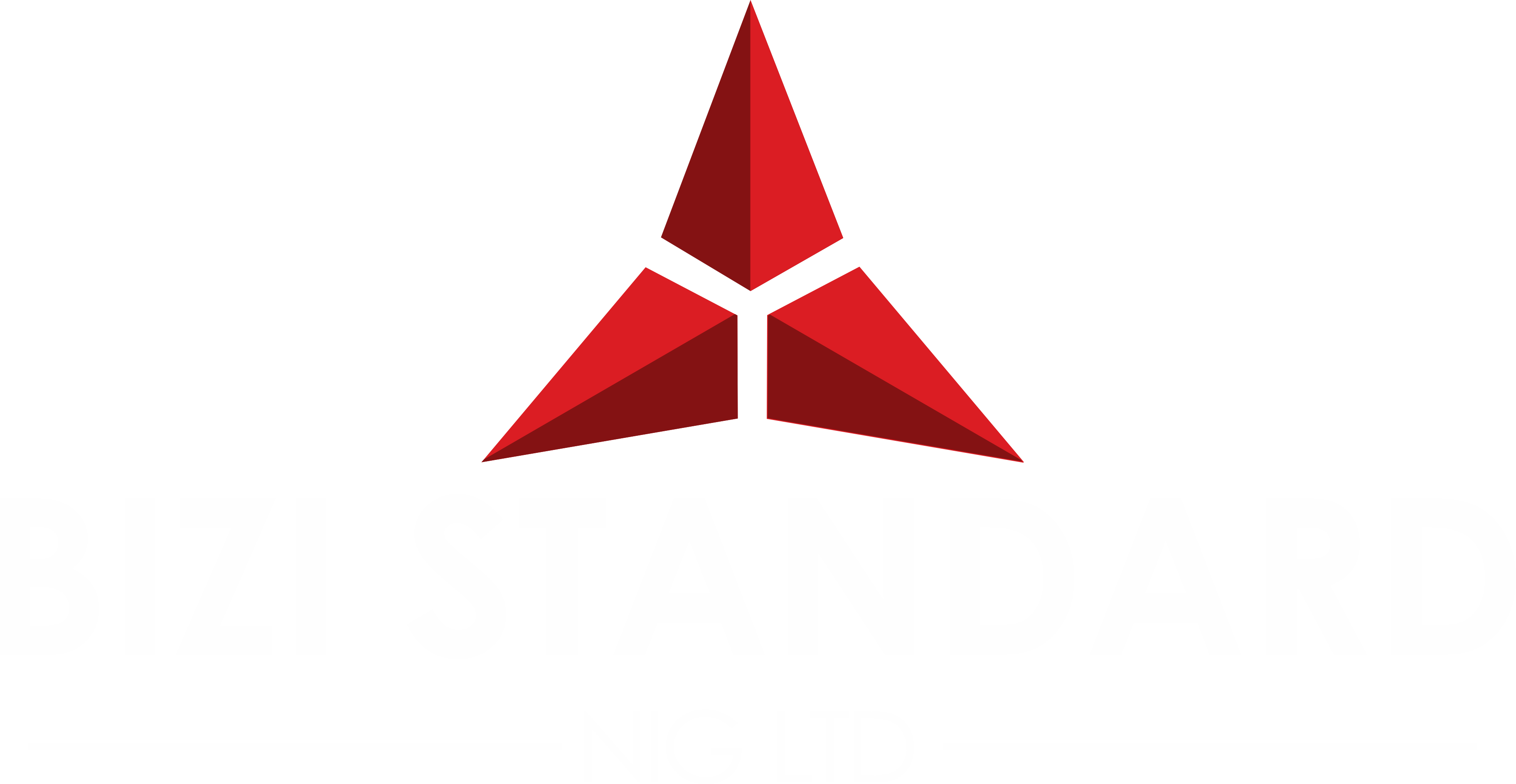 Bizi Standard Nig Ltd